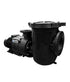 Motobomba para albercas comerciales Storm de 20 HP / 3 fases / 230-460 V