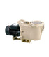 Motobomba serie Tigris de 2 HP
